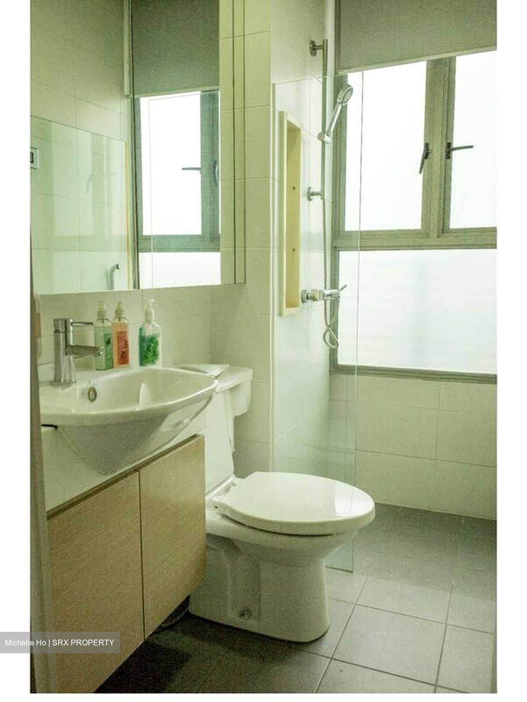 Suffolk Premier (D11), Apartment #565843781